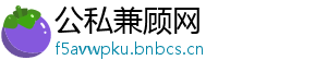 公私兼顾网